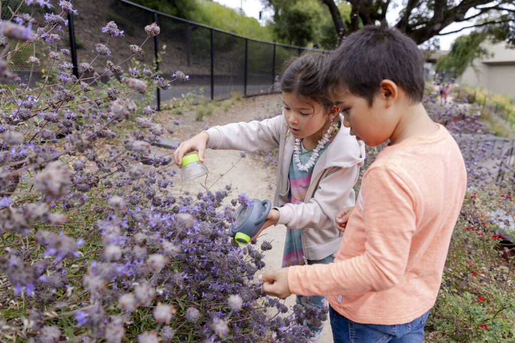 Two children are examining flowers and nature in the Outdoor Nature Lab